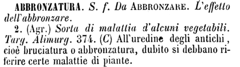 abbronzatura