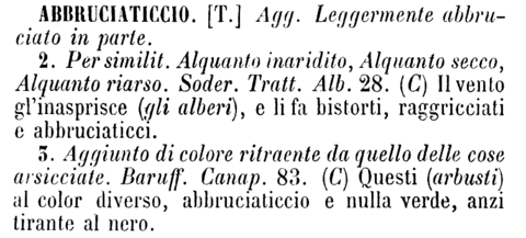 abbruciaticcio-447