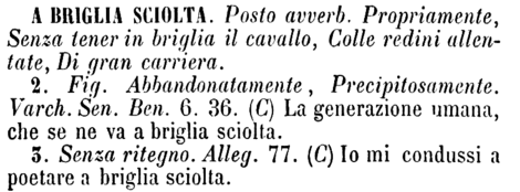 a-briglia-sciolta