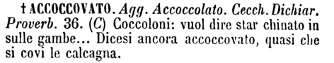 accoccovato