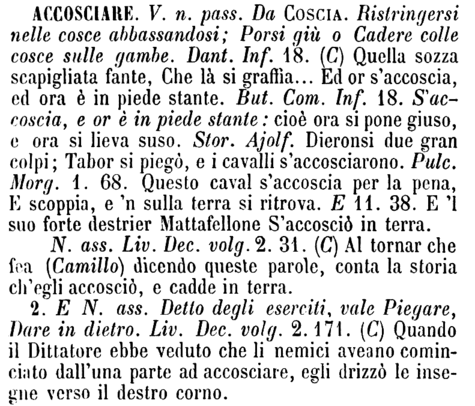 accosciare