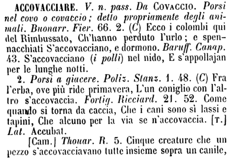 accovacciare