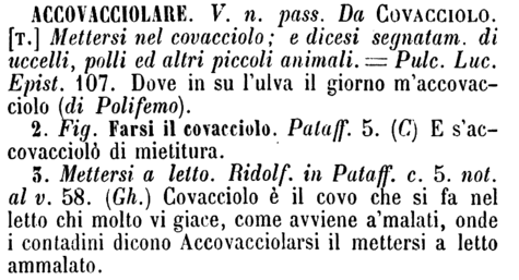 accovacciolare