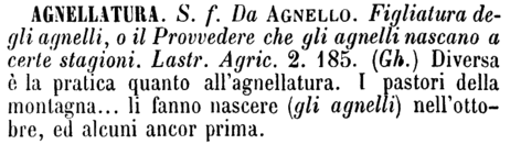 agnellatura