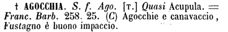 agocchia