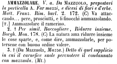 ammazzolare