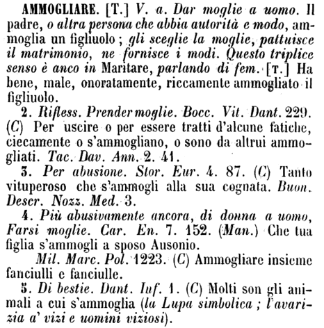 ammogliare