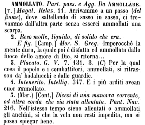 ammollato