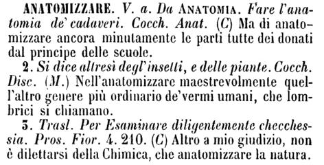 anatomizzare