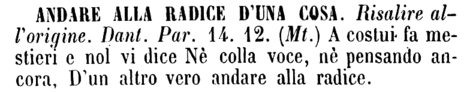 andare-alla-radice-d-una-cosa