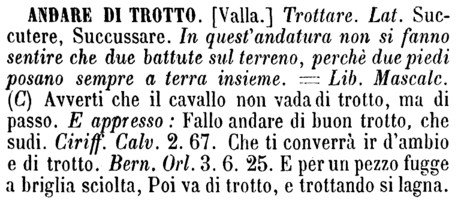 andare-di-trotto