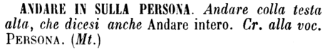 andare-in-sulla-persona