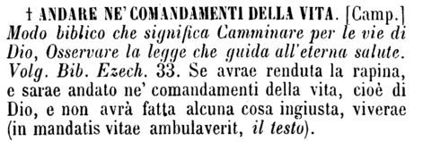 andare-ne-comandamenti-della-vita