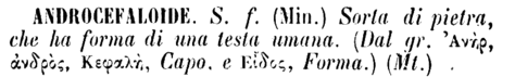 androcefaloide