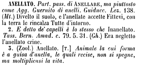 anellato