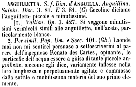 anguilletta