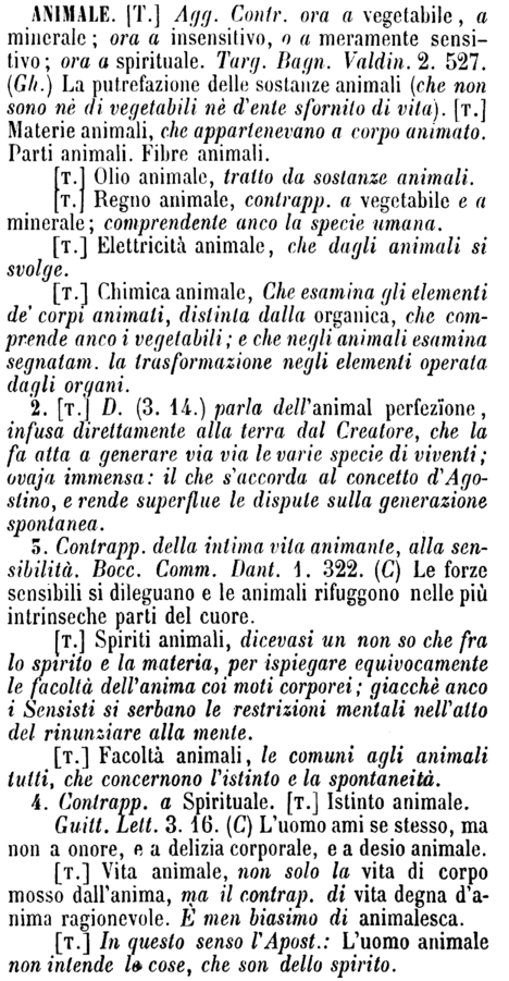 animale-8393