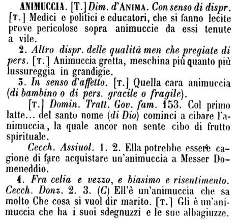 animuccia