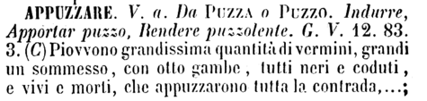 appuzzare