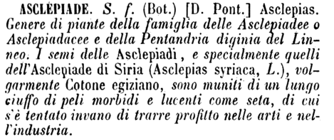 asclepiade