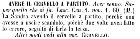 avere-il-cervello-a-partito