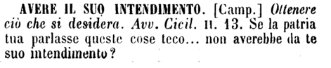 avere-il-suo-intendimento