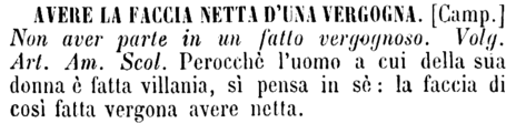 avere-la-faccia-netta-d-una-vergogna