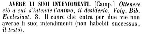 avere-li-suoi-intendimenti