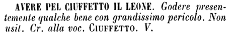 avere-pel-ciuffetto-il-leone