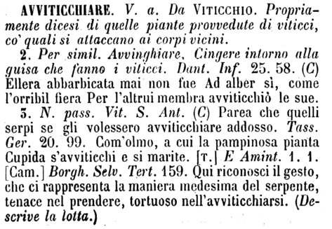 avviticchiare