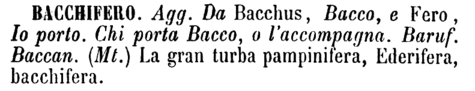 bacchifero