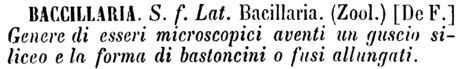 baccillaria