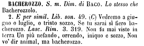 bacherozzo