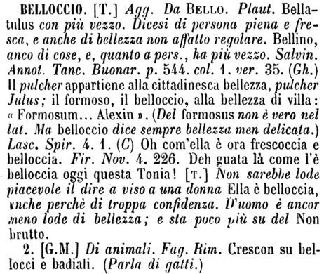 belloccio