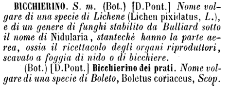 bicchierino-17529