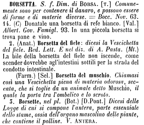 borsetta