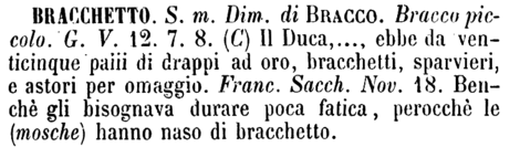 bracchetto