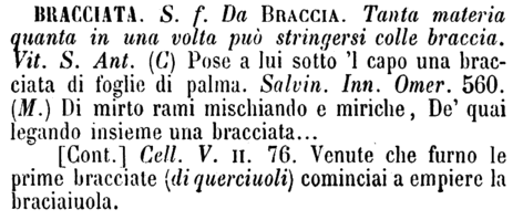 bracciata