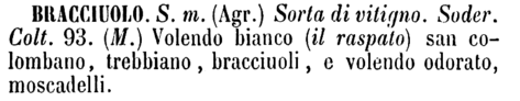 bracciuolo-18936