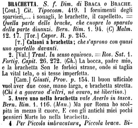 brachetta