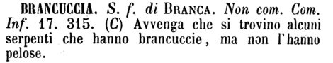 brancuccia