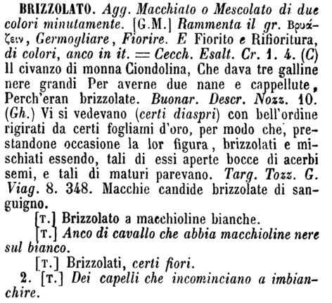 brizzolato