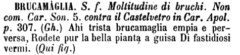 brucamaglia