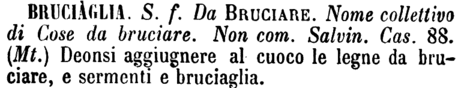 bruciaglia