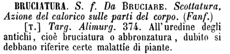 bruciatura