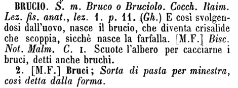 brucio