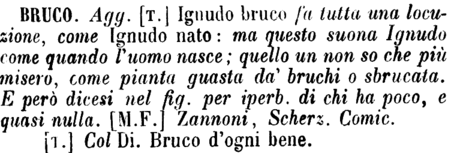 bruco-19494