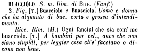 buacciolo