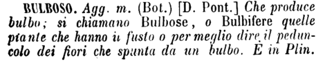 bulboso