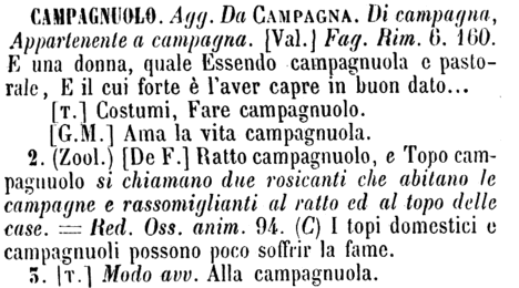 campagnuolo